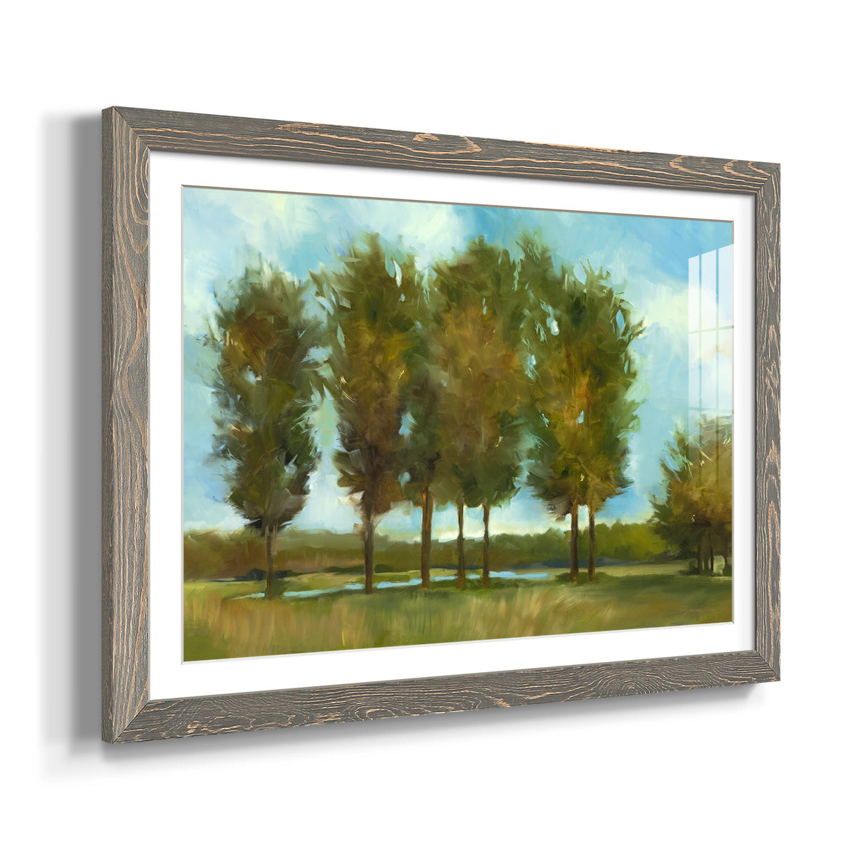 Tall Trees - Barnwood Framed Art Print