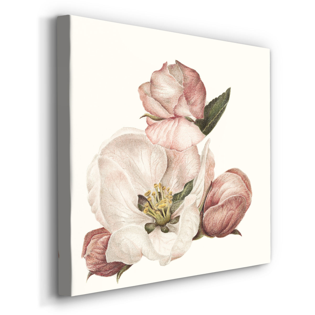 Enlightenment Blossom IV - Canvas Art Print