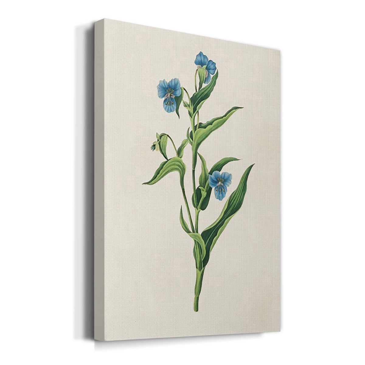 Flowers of the Seasons V - Canvas Art Print