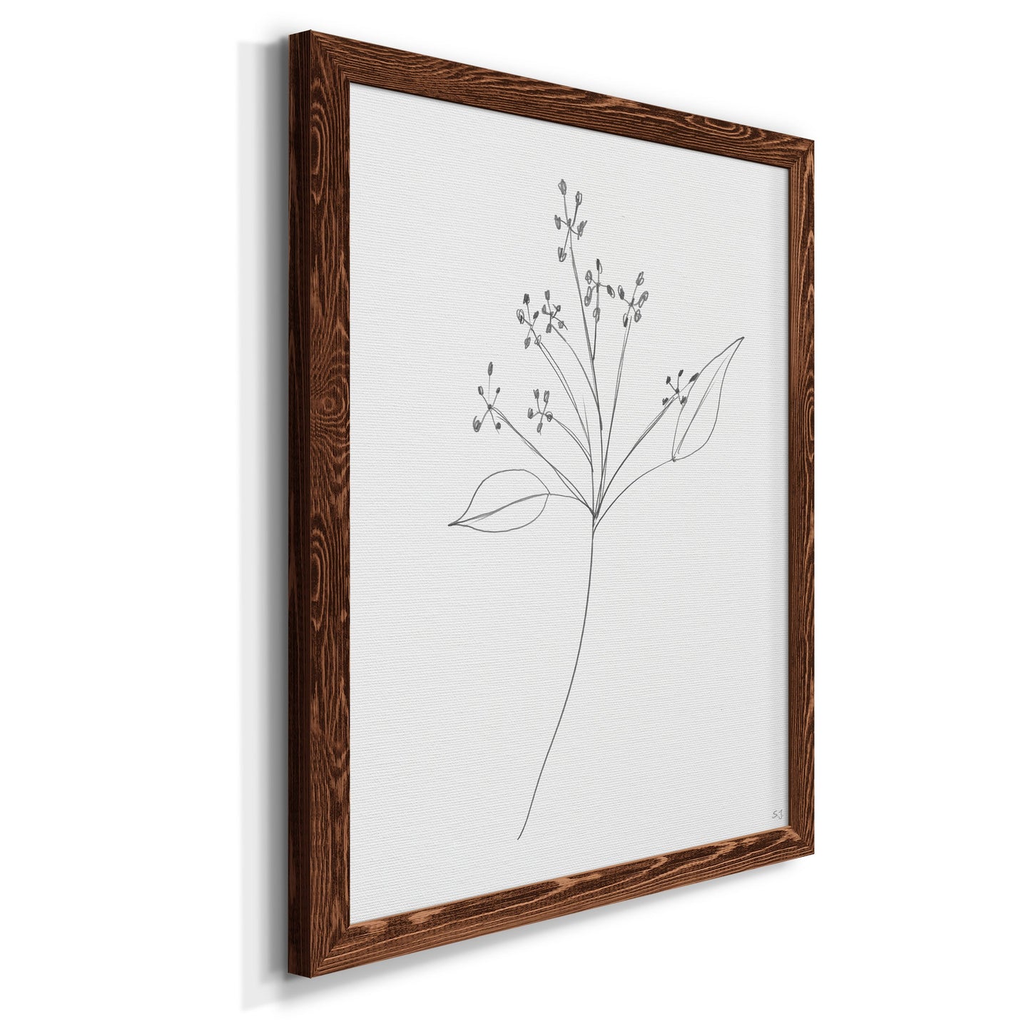 Botanical Gesture V - Barnwood Framed Canvas Print