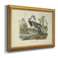 Audubons Louisiana Heron Premium Framed Canvas- Ready to Hang