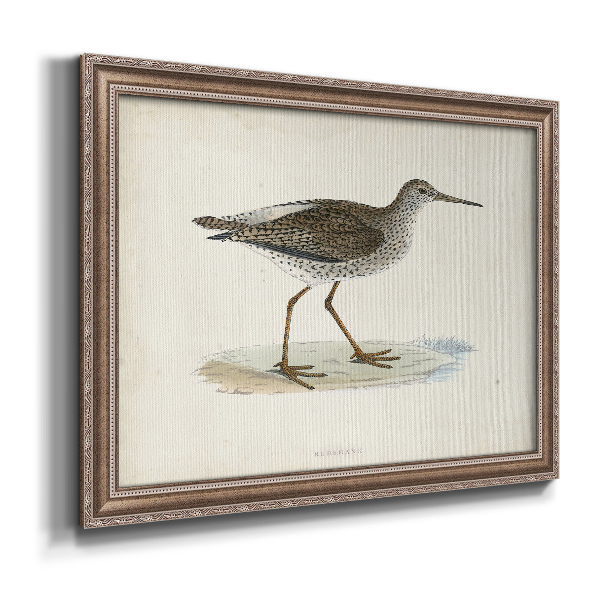 Morris Sandpipers V Premium Framed Canvas- Ready to Hang