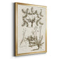 Sepia Botanical Journal VI - Modern Framed Canvas Print