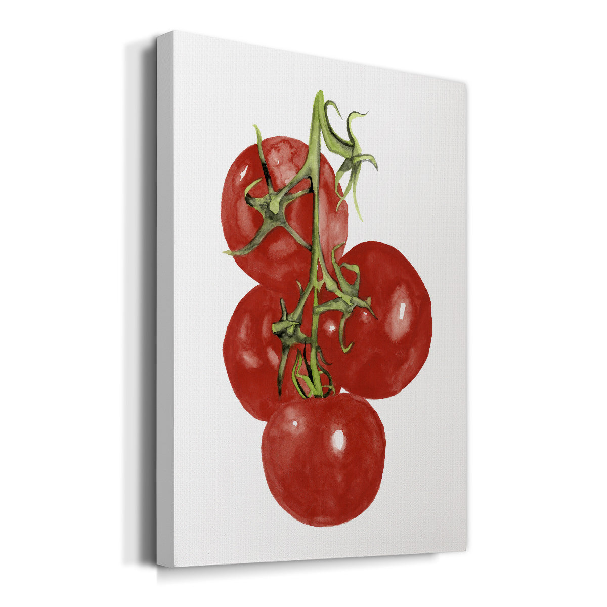 Watercolor Veggie IV Premium Gallery Wrapped Canvas - Ready to Hang