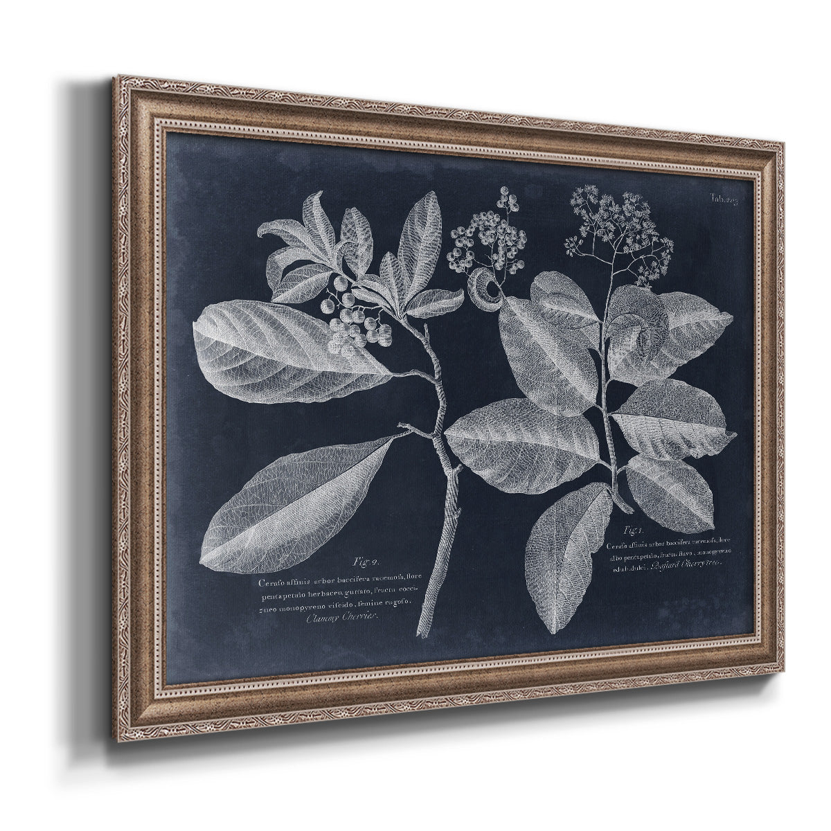 Foliage on Navy IV Premium Framed Canvas- Ready to Hang