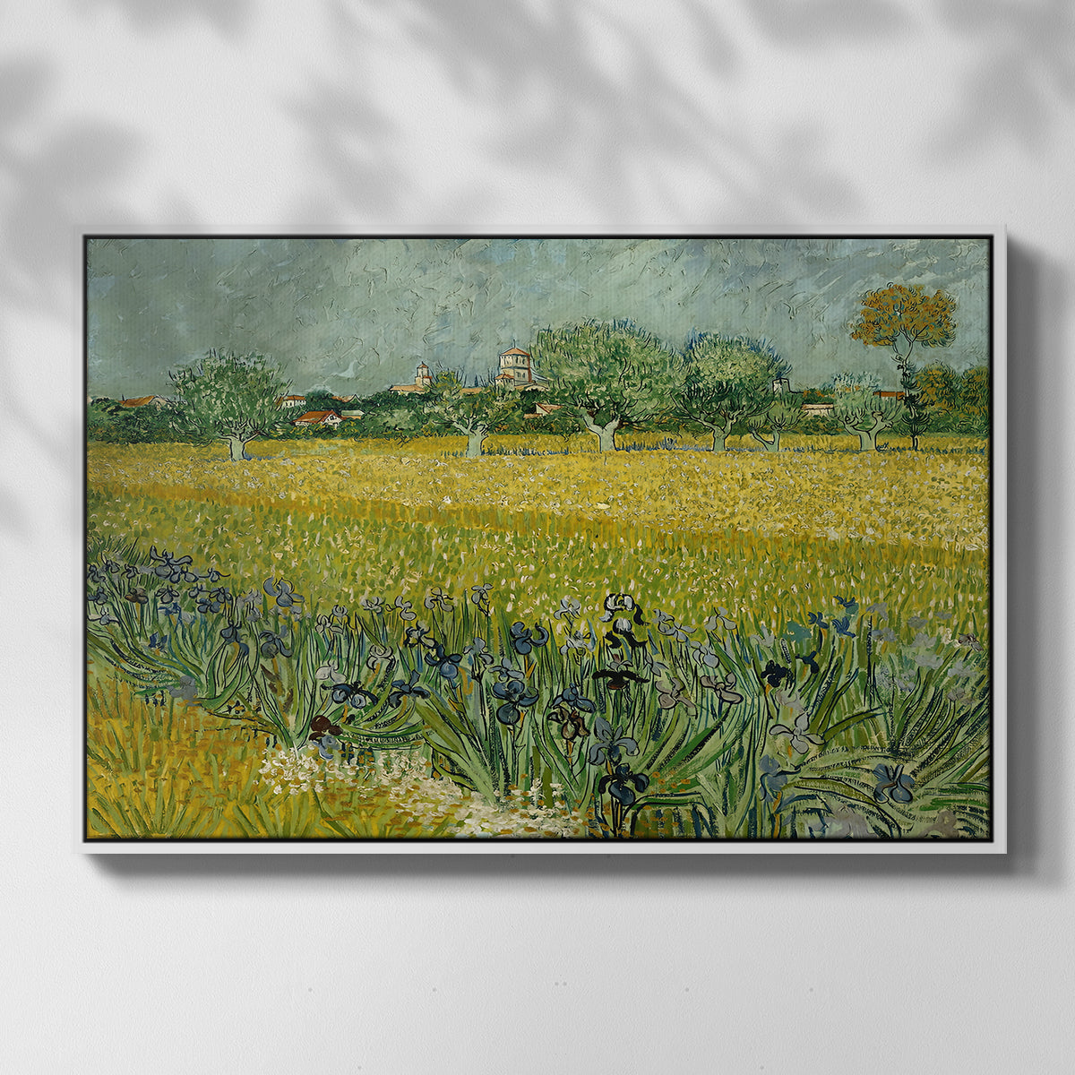 Field with Irises near Arles, 1888 - Floater Framed Canvas Print