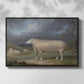 A Border Leicester Ewe, c. 1795-1800 - Floater Framed Canvas Print