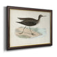 Morris Sandpipers VII Premium Framed Canvas- Ready to Hang