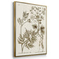 Sepia Botanical Journal I - Framed Premium Gallery Wrapped Canvas L Frame 3 Piece Set - Ready to Hang