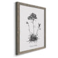 Simply Caladrinia - Premium Canvas Framed in Barnwood - Ready to Hang