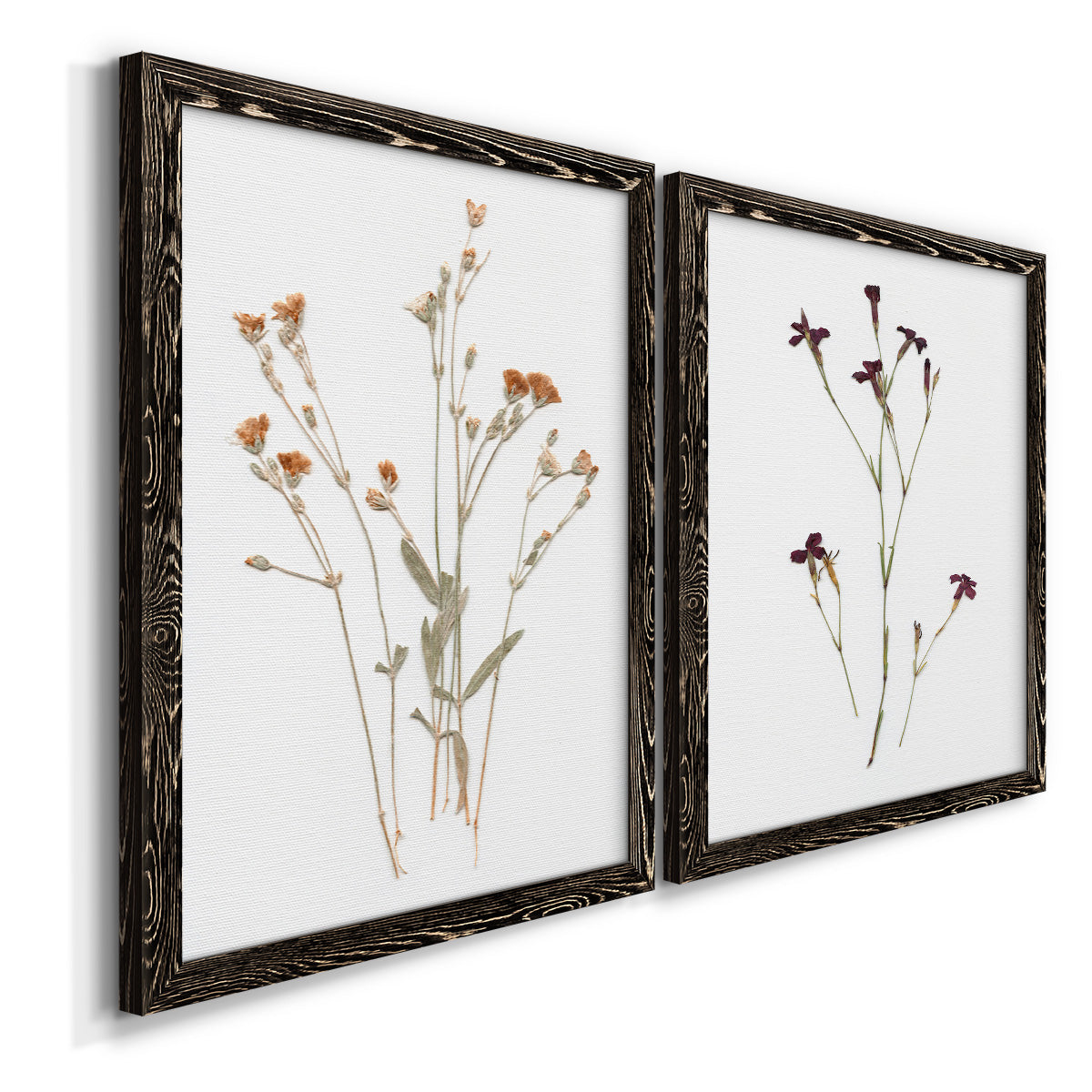 Pressed Botanical I - Premium Framed Canvas 2 Piece Set - Ready to Hang