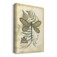 Regal Dragonfly II (PP)  - Canvas Art Print