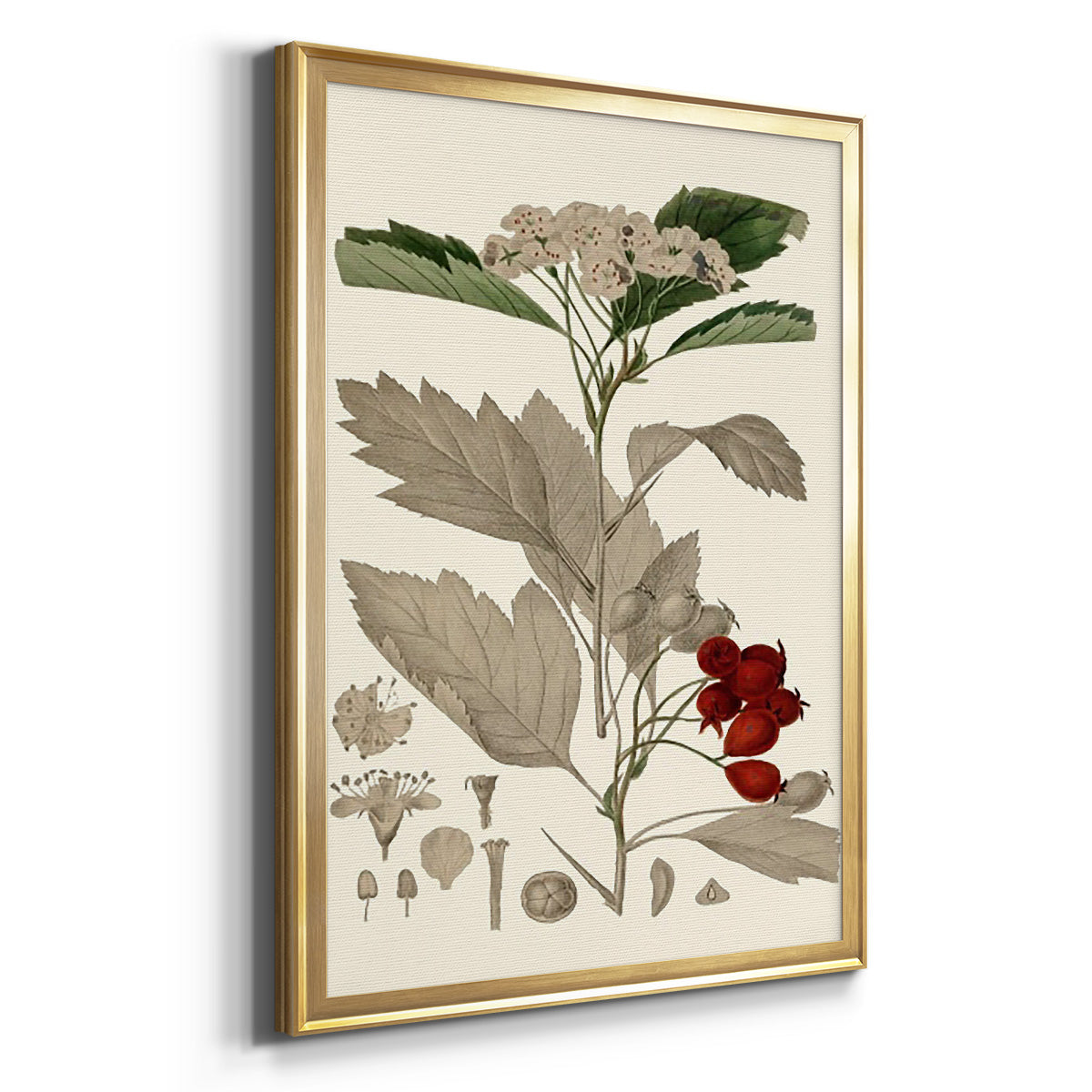 Leaves & Berries I - Modern Framed Canvas Print