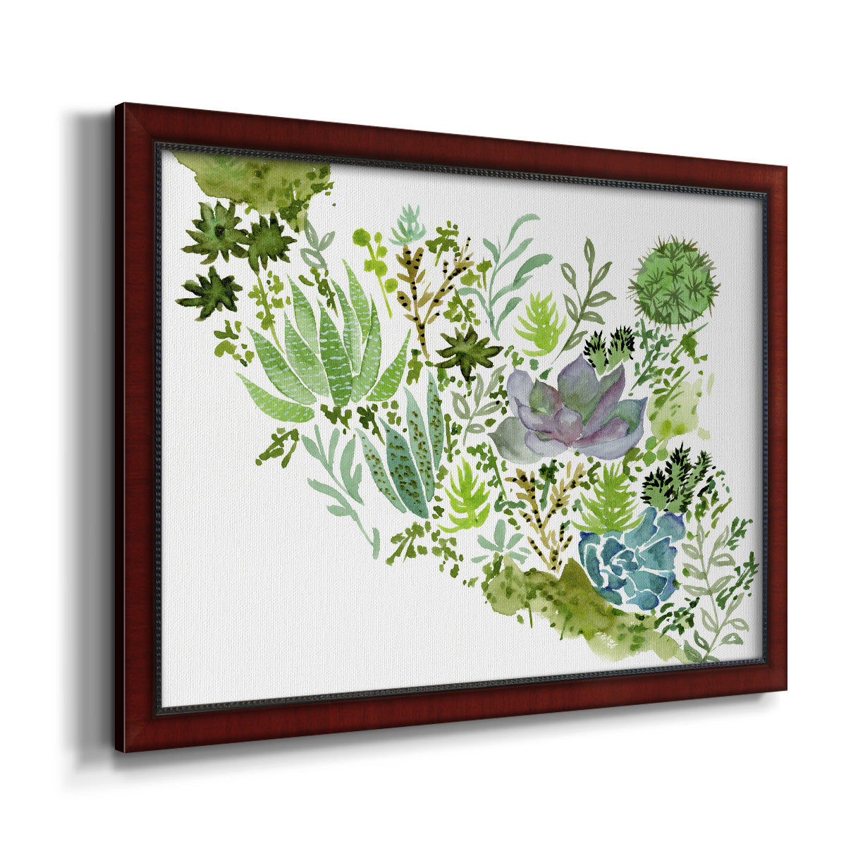 Succulent Field II - Ornate Framed Canvas Print