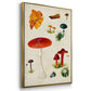 Mushroom Species IV - Framed Premium Gallery Wrapped Canvas L Frame 3 Piece Set - Ready to Hang