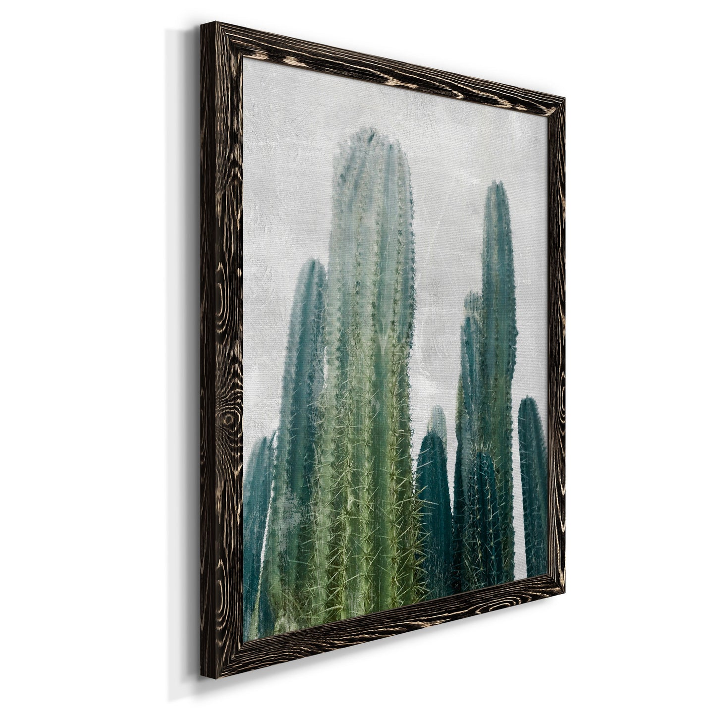 Aruba Cacti I - Premium Canvas Framed in Barnwood - Ready to Hang