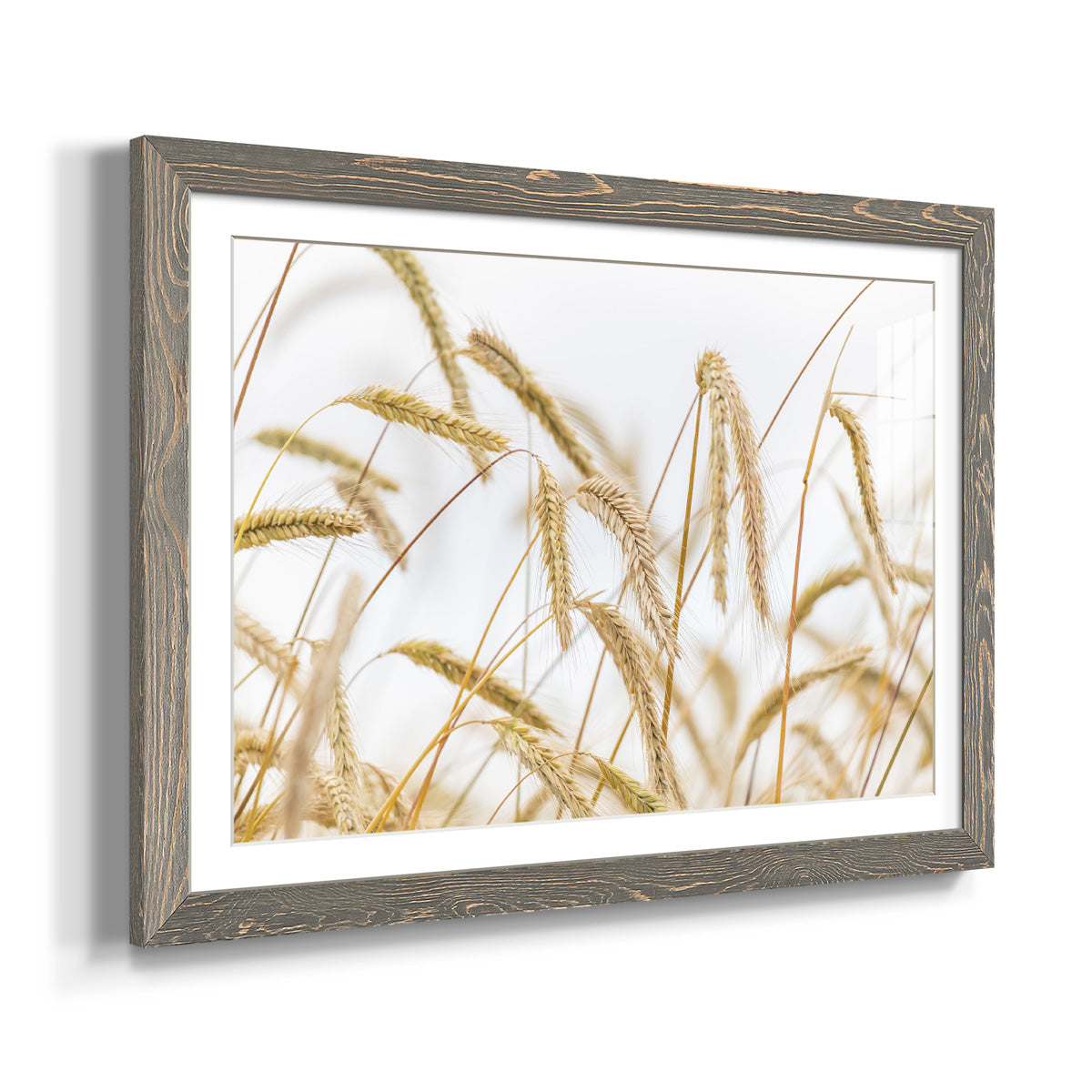 Wheat - Barnwood Framed Art Print