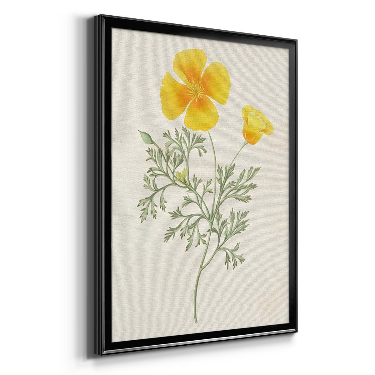 Flowers of the Seasons IX - Modern Framed Canvas Print