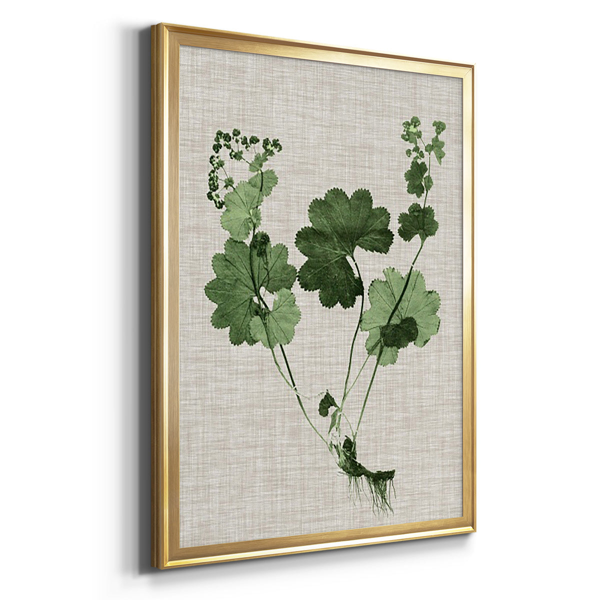 Forest Foliage on Linen I - Modern Framed Canvas Print