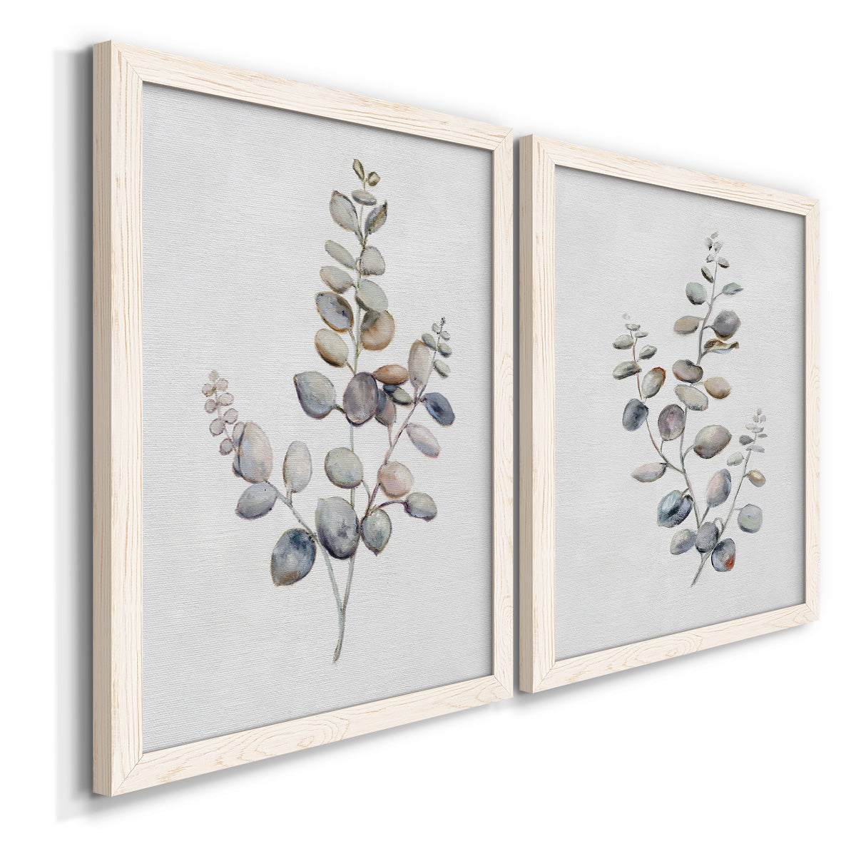 Eucalyptus I - Premium Framed Canvas 2 Piece Set - Ready to Hang