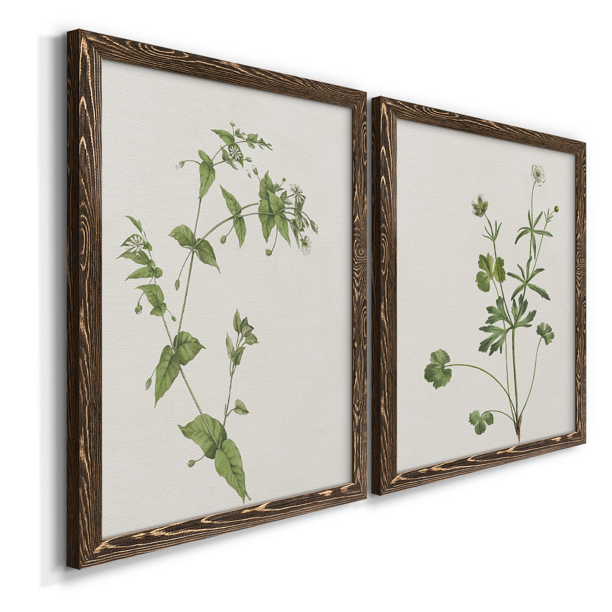 Wispy Botanical I - Premium Framed Canvas 2 Piece Set - Ready to Hang