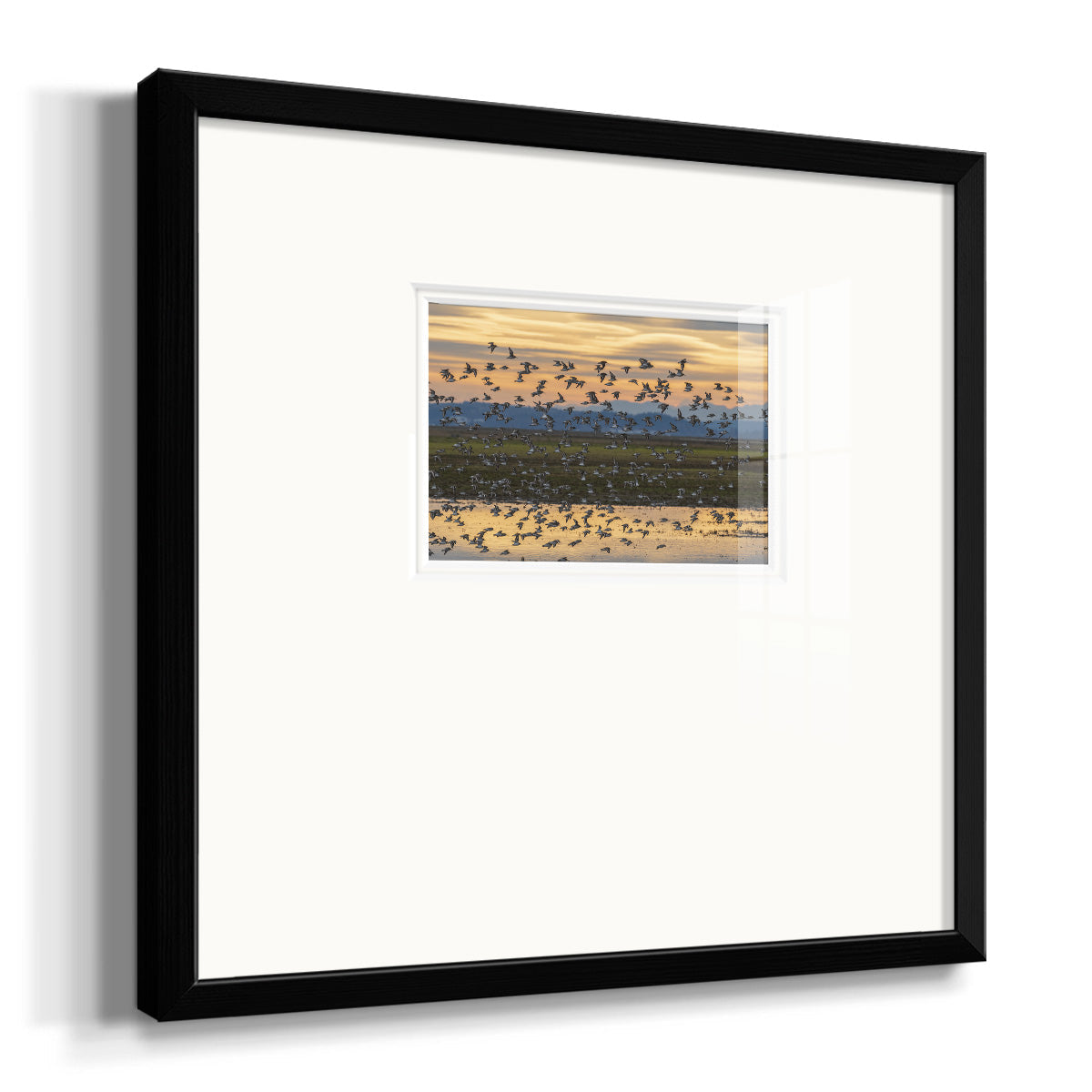 Sunset Flight Premium Framed Print Double Matboard