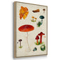 Mushroom Species IV - Framed Premium Gallery Wrapped Canvas L Frame 3 Piece Set - Ready to Hang