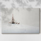 Frostlit Stillness - Canvas Art Print