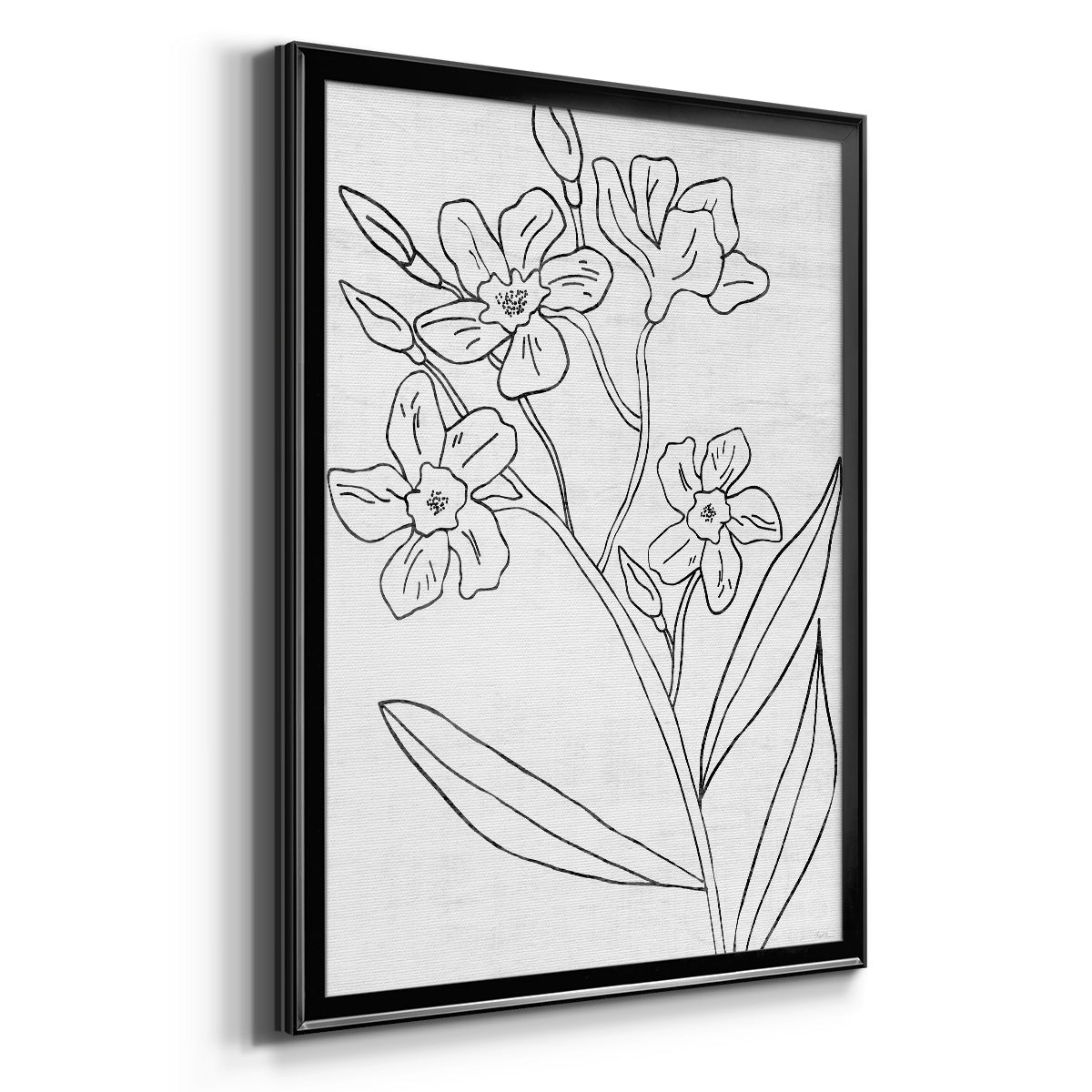 Botanical Sketch II - Modern Framed Canvas Print