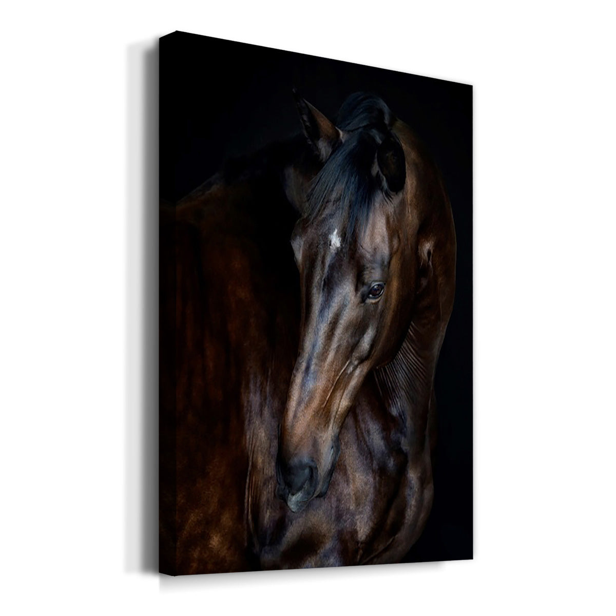 Sunlit Horses I Premium Gallery Wrapped Canvas - Ready to Hang