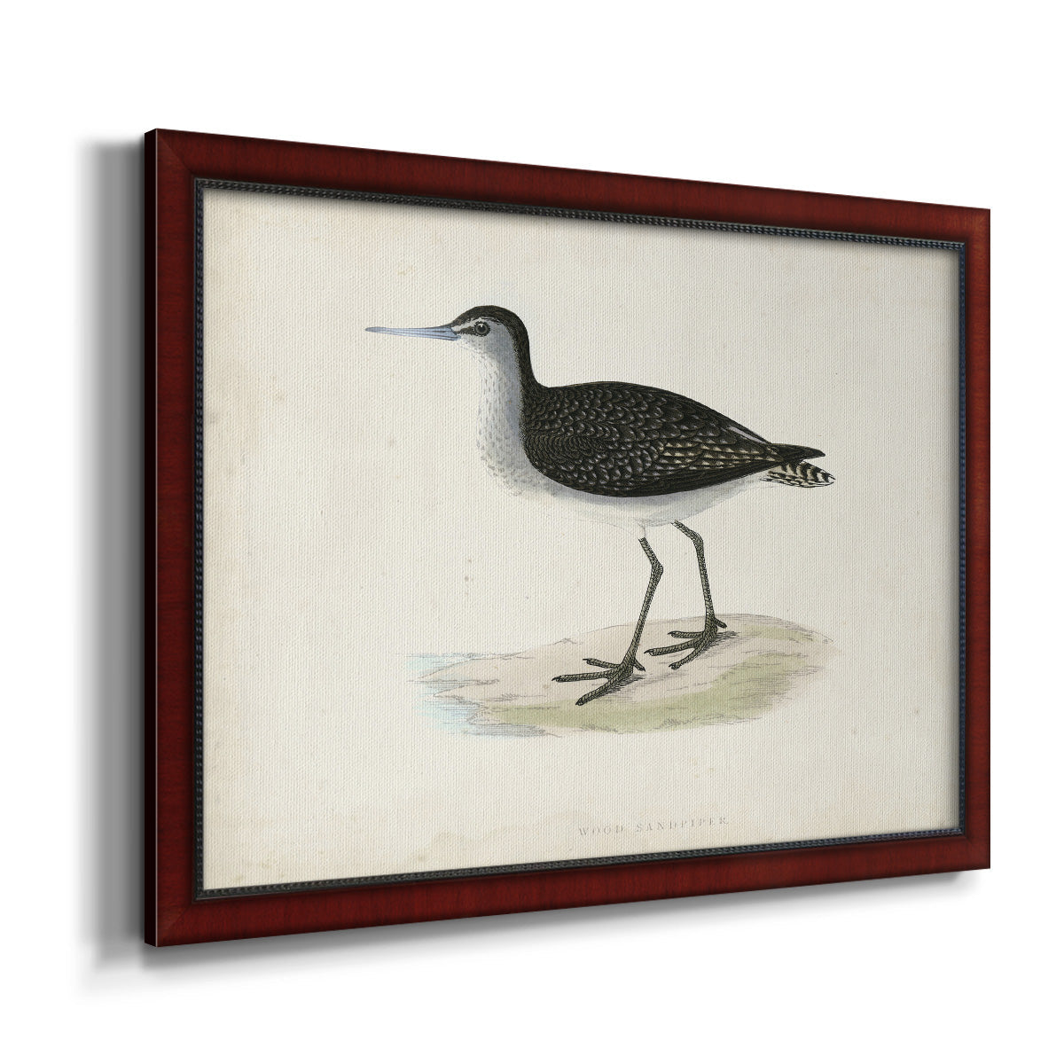 Morris Sandpipers VIII Premium Framed Canvas- Ready to Hang