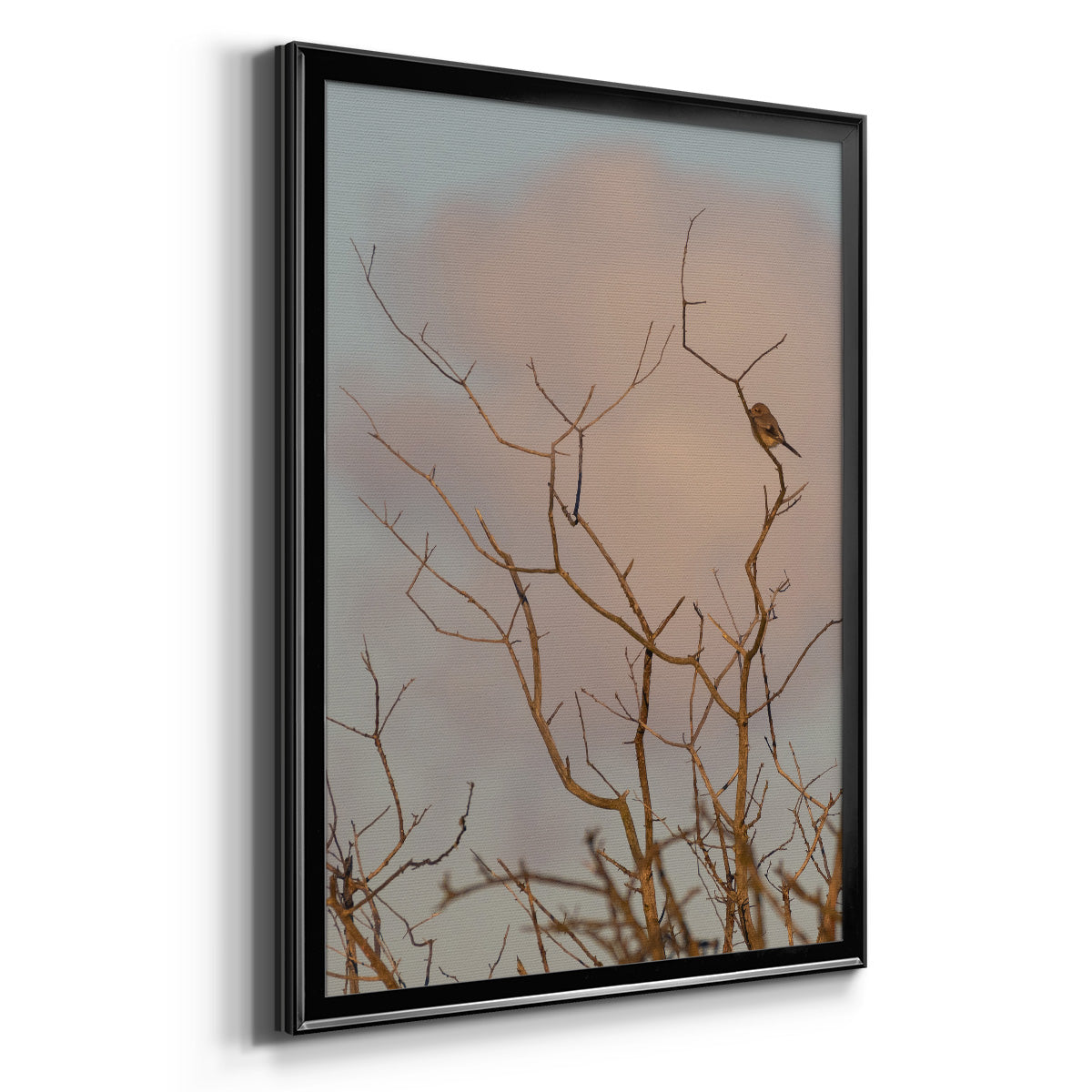 At Dawn - Modern Framed Canvas Print