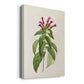 Pretty Pink Botanicals VIII Premium Gallery Wrapped Canvas - Ready to Hang