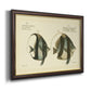 Bloch Antique Fish I Premium Framed Canvas- Ready to Hang