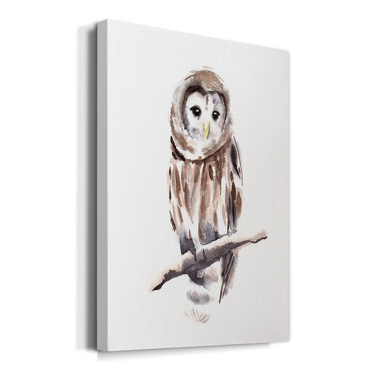 Barred Owl Impressions I Premium Gallery Wrapped Canvas - Ready to Hang