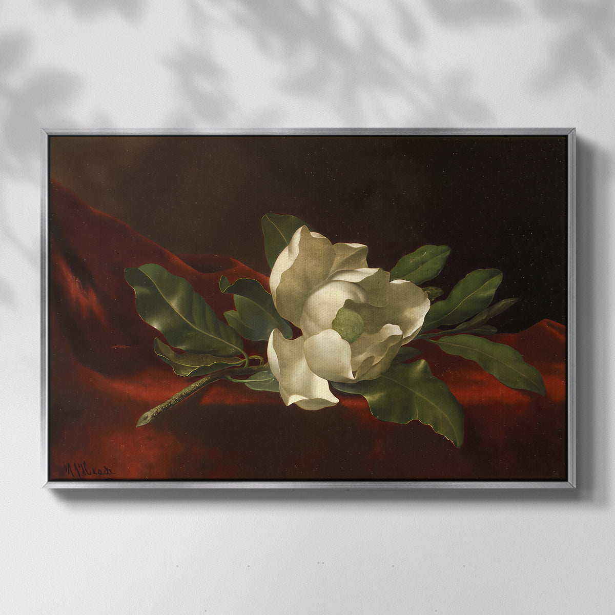 Magnolia on Red Velvet, c. 1885-1890 - Floater Framed Canvas Print
