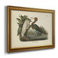 Audubons Reddish Egret Premium Framed Canvas- Ready to Hang