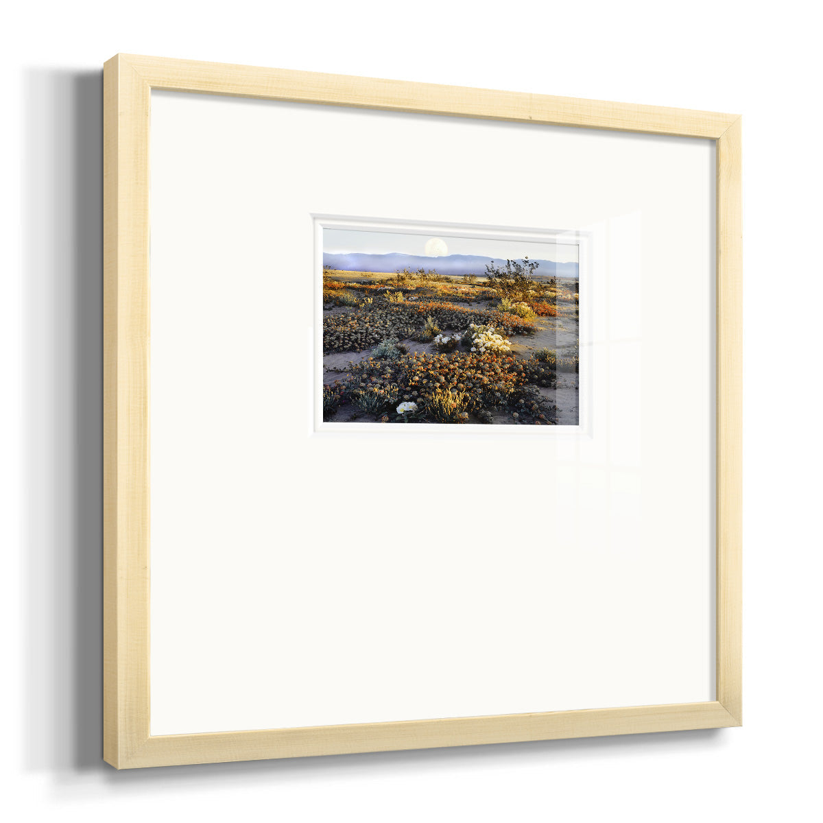 Anza Borrego Desert Premium Framed Print Double Matboard