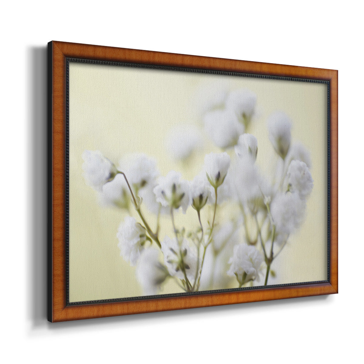 Baby's Breath Study IV Premium Framed Canvas- Ready to Hang