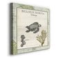 Biologia Marina IV - Canvas Art Print