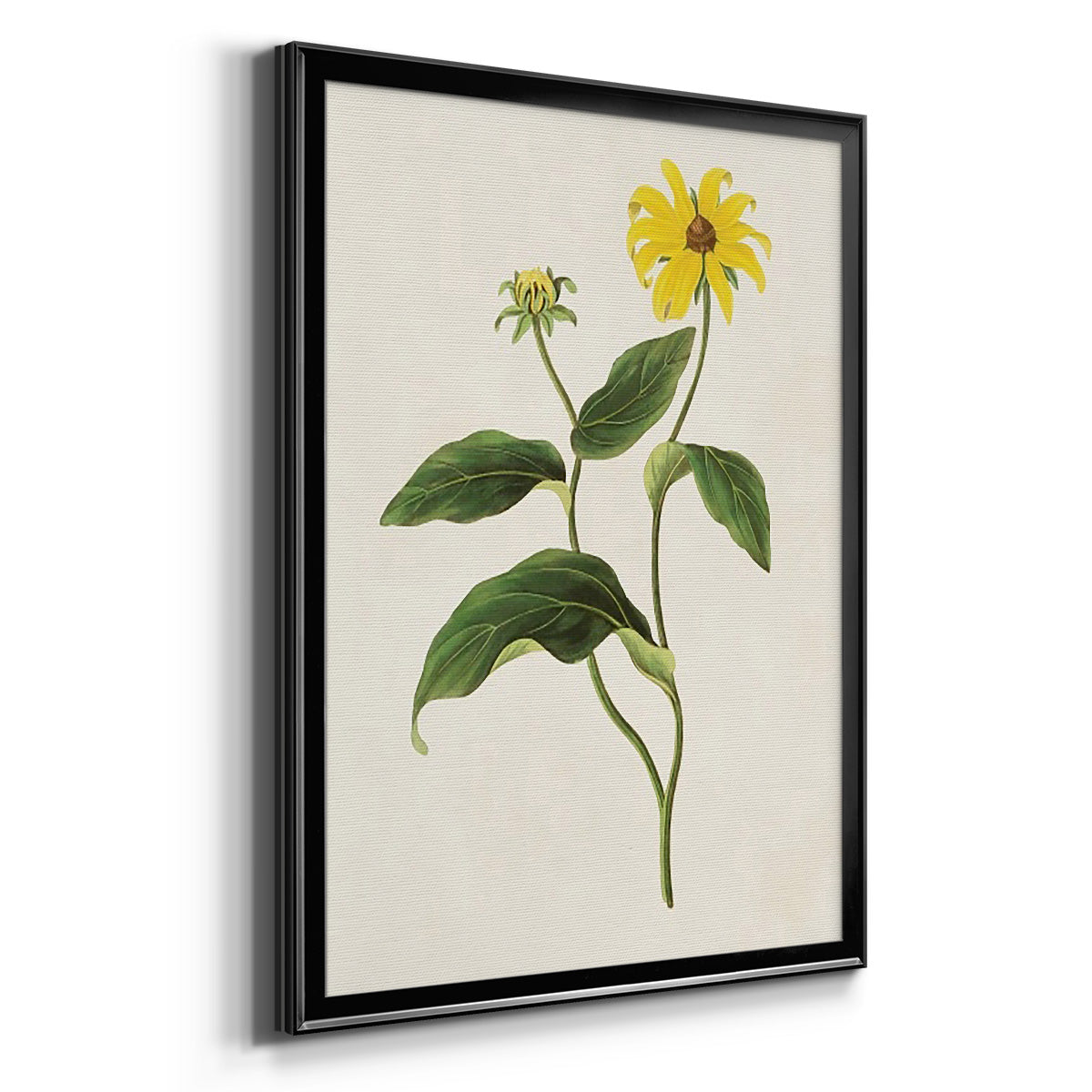 Flowers of the Seasons X - Modern Framed Canvas Print