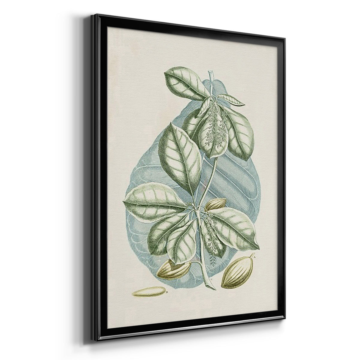 Buchoz Tropicals VI - Modern Framed Canvas Print