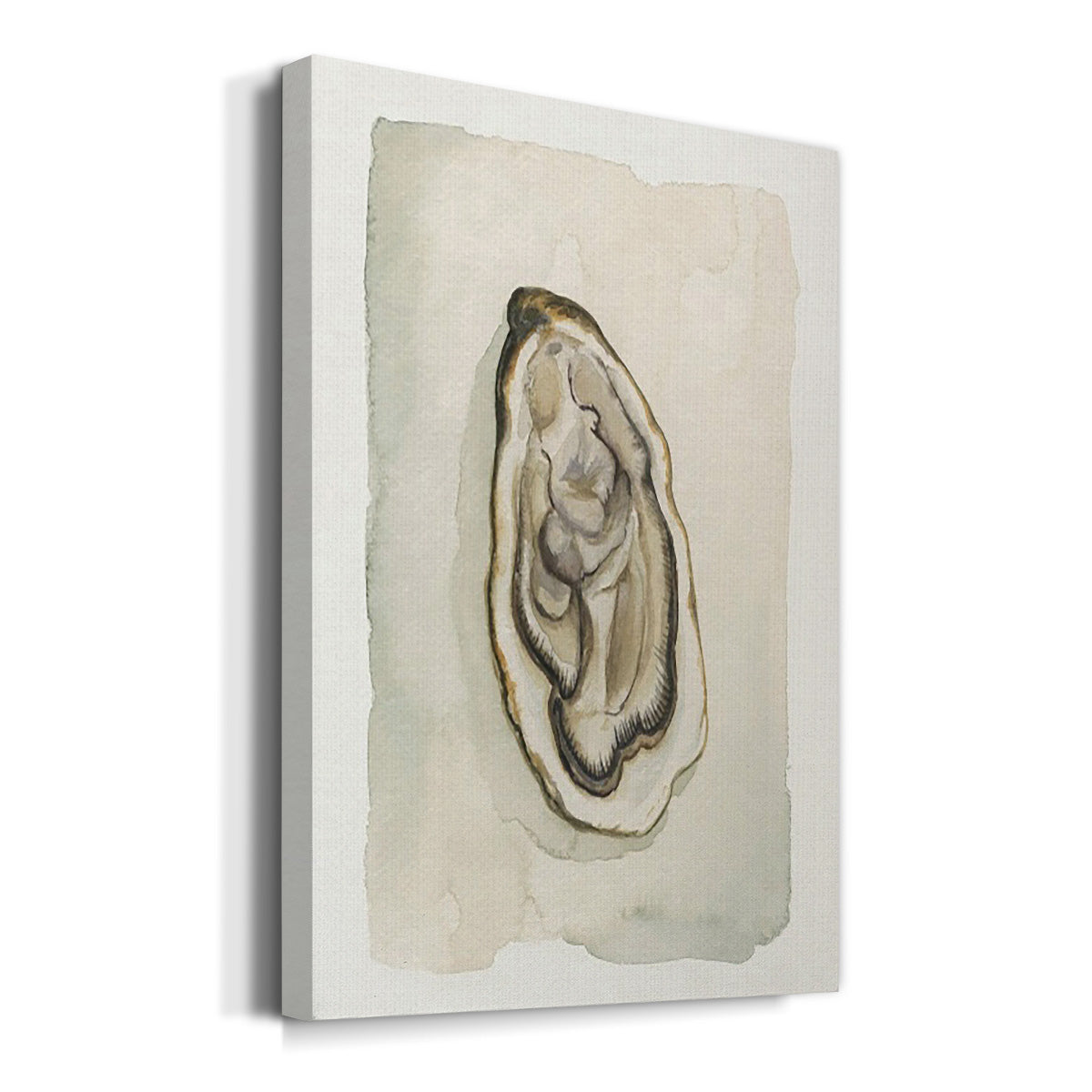 Soft Half Shell II - Canvas Art Print