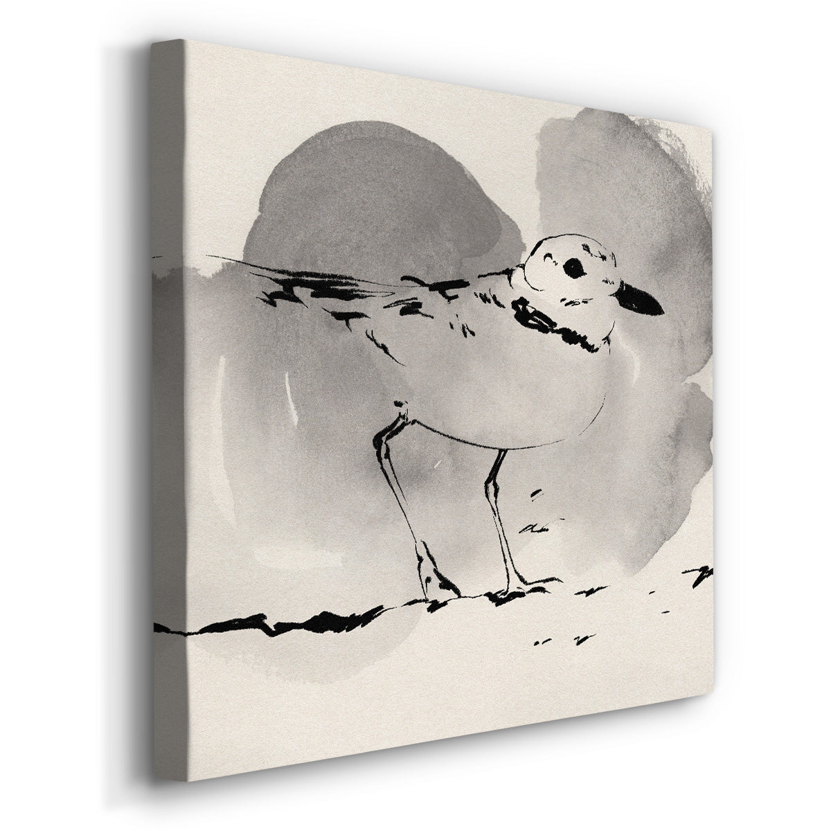 Inky Plover I - Canvas Art Print