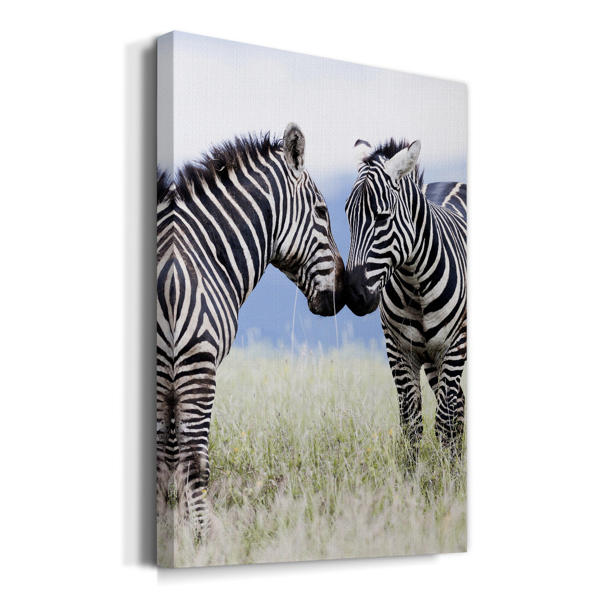 African Affection - Canvas Art Print