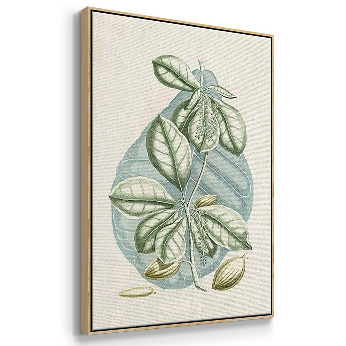 Buchoz Tropicals IX - Framed Premium Gallery Wrapped Canvas L Frame 3 Piece Set - Ready to Hang