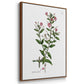 Rose Botanical I - Framed Premium Gallery Wrapped Canvas L Frame 3 Piece Set - Ready to Hang