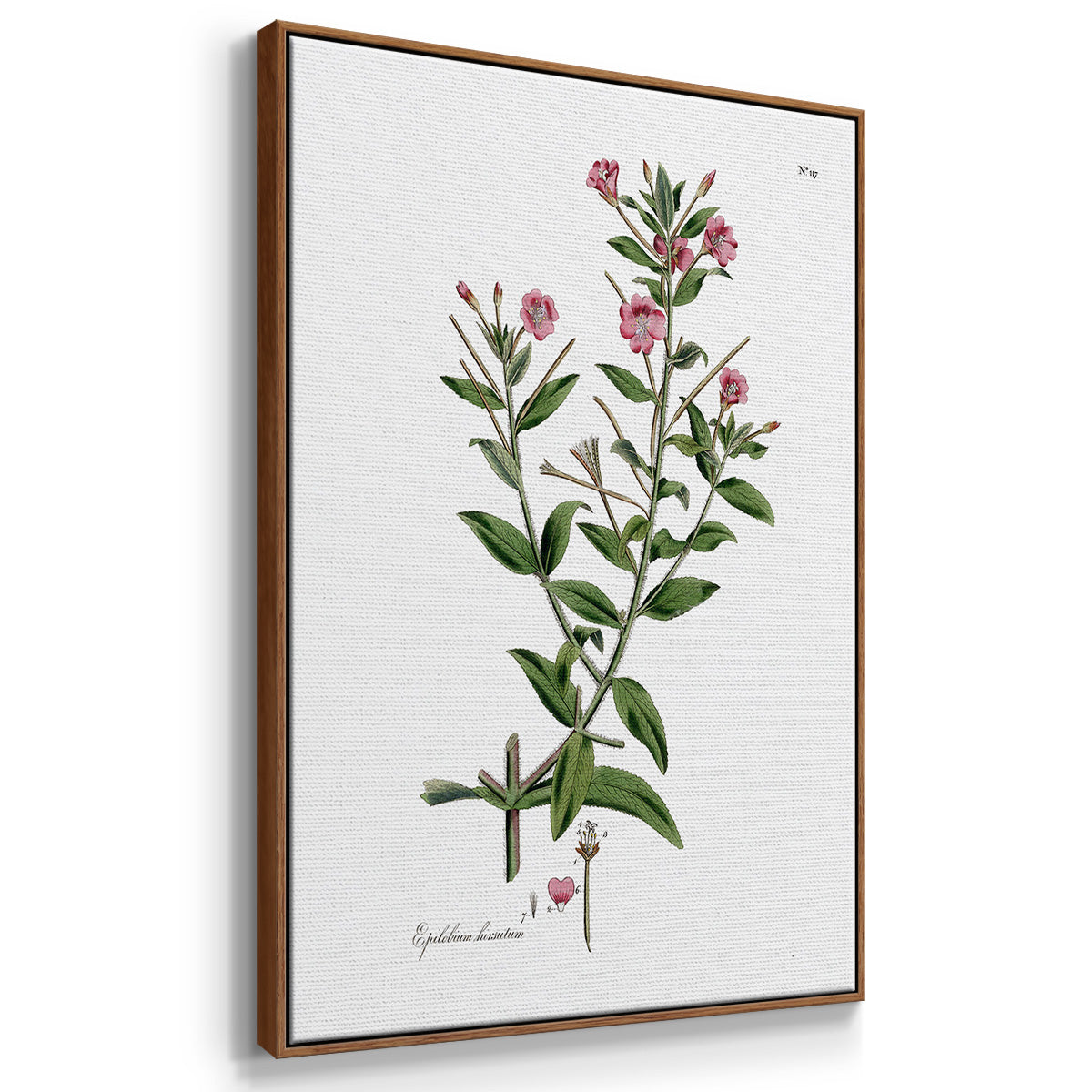 Rose Botanical I - Framed Premium Gallery Wrapped Canvas L Frame 3 Piece Set - Ready to Hang