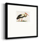 Odd Crane Premium Framed Print Double Matboard