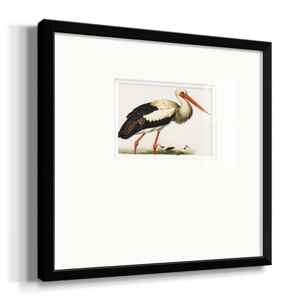 Odd Crane Premium Framed Print Double Matboard